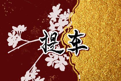 2025年07月19日提车黄道吉日 今日提车买车好不好
